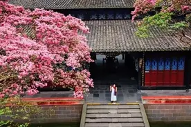 都江堰，自带时光滤镜的美颜，一眼，便是千年~图片