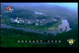 我的丰收我的节：万年珍珠视频封面