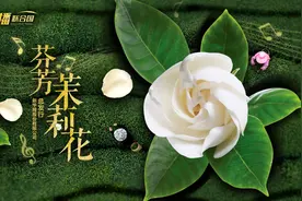 《直播联合国》丨最广为流传的《茉莉花》版本由谁改编？视频封面
