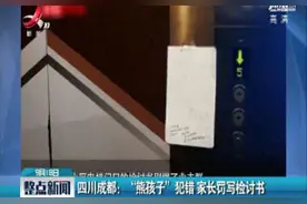 四川成都：“熊孩子”犯错 家长罚写检讨书视频封面