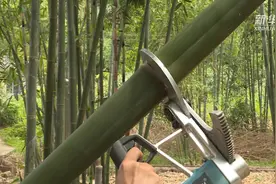 伐竹“神器”一秒提高得竹率视频封面