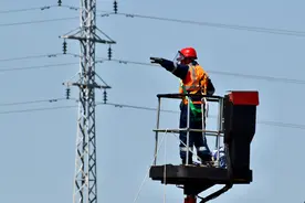 河北秦皇岛市北戴河区垃圾分类试点服务项目公开招标公告图片
