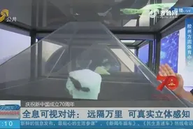 闪电连线：AI变脸系统 挥动手臂 最快0.5秒完成川剧变脸视频封面