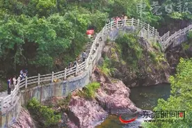 东莞市林业局推出森林公园和湿地公园国庆游玩指南图片