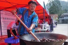 广东河源：秋日畲乡板栗飘香视频封面