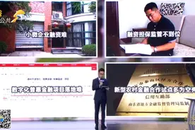 问政山东追踪丨45家融资担保僵尸公司被注销图片