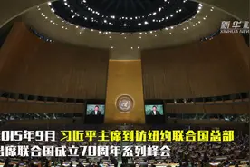 国际社会点赞中国担当视频封面