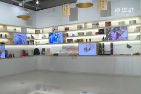 进博会“6天+365天”不落幕，这个一站式交易平台不简单视频封面
