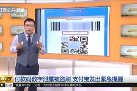餐馆女老板付款码数字泄露，被盗刷999元，支付宝发来紧急提醒！视频封面