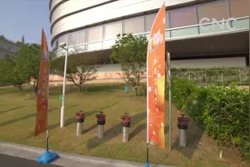 首届上海国际乒乓文化节：展现国球“跨界之美”视频封面