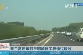 【假期出行】青兰高速东阿至聊城段工程通过验收视频封面