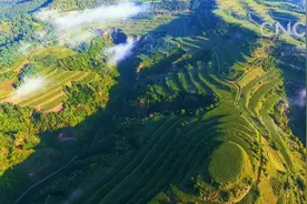 绿满山川！陕西延安退耕还林20年视频封面