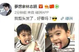 林志颖和4岁双胞胎儿子留同款发型，凯凯浓眉大眼双眼皮像爸爸图片