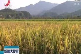 【国庆70周年】向祖国报告 科技创新驱动江西高质量跨越式发展视频封面