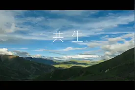 共生视频封面
