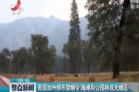 美国加州颁布禁烟令 海滩和公园将成无烟区视频封面