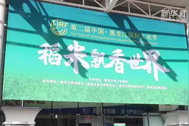 农业+电商 助力优质农产品销往全国视频封面