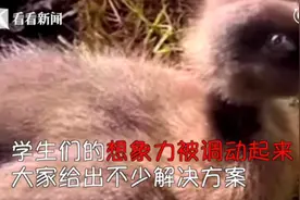 校长遇“难题”向全校学生求助：谁解决可免一周作业视频封面