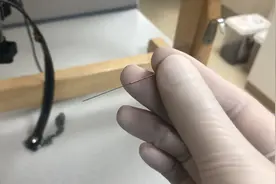 萌宠也能用针灸治病，你见过吗？图片
