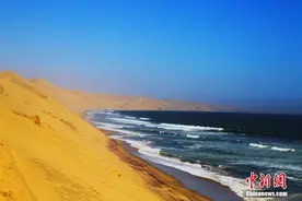 纳米比亚印象：一半海水，一半沙漠图片