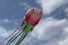 成都首届风筝艺术节来了  “西南风筝王”带全国最大太阳神鸟风筝亮相视频封面