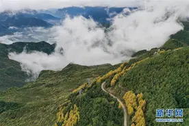再见，万丈天险二郎山图片