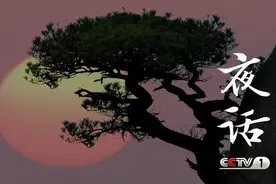 夜话丨冯骥才：黄山绝壁松图片