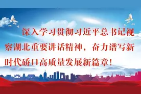 市领导调研硚口区市级重大项目推进情况：为武汉经济恢复发展贡献力量图片