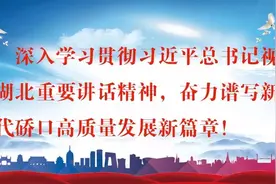 2020年武汉市“双评议”今天启动，有四个重要变化要注意图片