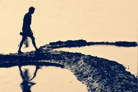 生活实录｜身边的拾荒人图片