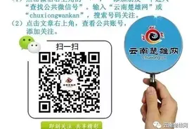找工作，看这里 →楚雄州2020年高校毕业生金秋现场招聘会公告来啦图片