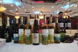 津门金秋酒飘香视频封面