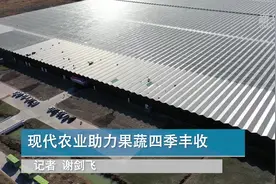 现代农业助力果蔬四季丰收视频封面