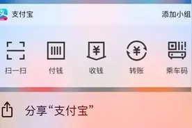 可以在手机桌面上快速启动支付宝了，网友：我的钱包要挺住图片