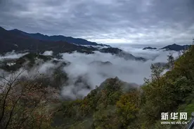 瑰丽的神农架云海图片