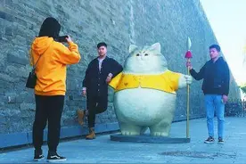故宫猫文化由来已久 明朝曾为猫“选美”当御猫图片