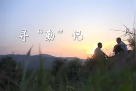 寻“勤”记视频封面