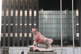 新牛来了！在上交所新楼前昂首挺胸视频封面