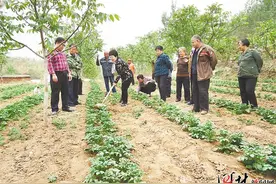 石家庄壮大农业科技特派员队伍助力乡村振兴图片