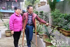六旬夫妻22年打造出最美庭院“同林鸟”里有对同林鸟 大难临头没有各自飞图片