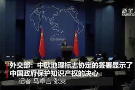 外交部：中欧地理标志协定的签署显示了中国政府保护知识产权的决心视频封面