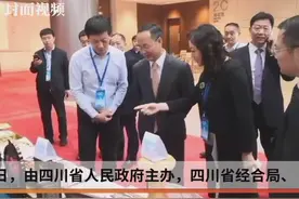 借力第二届四川南向开放（厦门）国际合作对接会 宜宾朋友圈再扩大视频封面