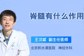 脊髓有什么作用视频封面