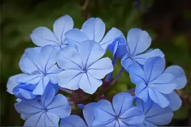 早上好！朋友圈很火的人生感悟，句句求之不得，让人心动不已图片