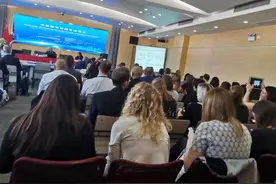107名英国数学教师11日起在沪交流2周，上师大首讲中国数学故事图片