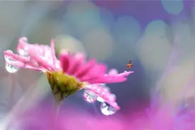 人生是一次性的，不要给自己人生留遗憾，早安图片