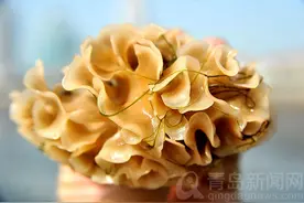 追踪：市民赶海偶遇奇特生物 专家比对确认身份图片