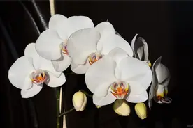 微信早晨发朋友圈走心的心情说说经典一句话图片