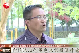 罕见！雷公山国家级自然保护区再现活体黑熊，是国家二级保护动物视频封面
