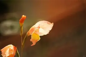 适合发朋友圈人生感悟心情说说 精辟人生感悟句子图片